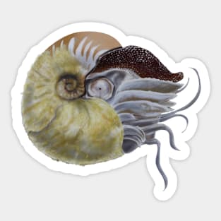 Fuzzy nautilus Sticker